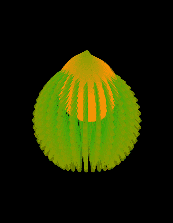 nophora (commonly known as comb jellies) is a phylum of animals