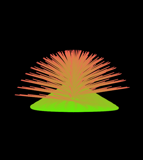 nophora (commonly known as comb jellies) is a phylum of animals