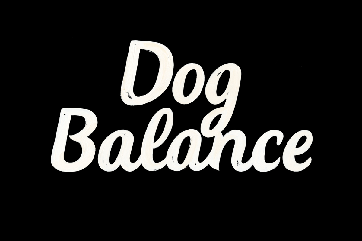Dog Balance 营养美味狗娘品牌包装设计