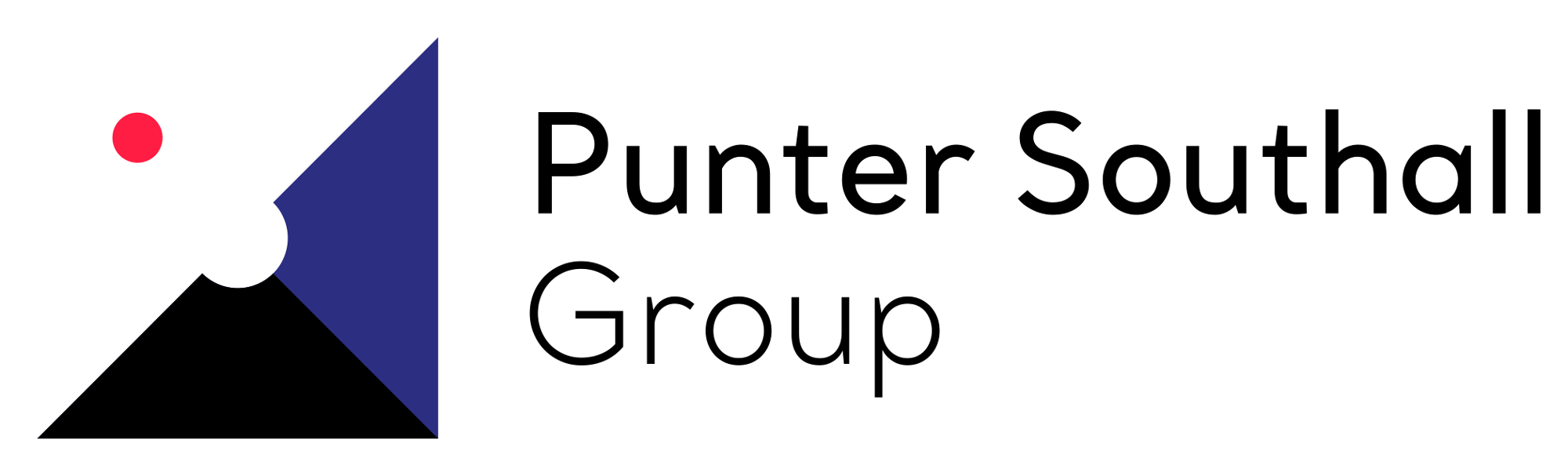 puntersouthallgroup金融投资品牌设计