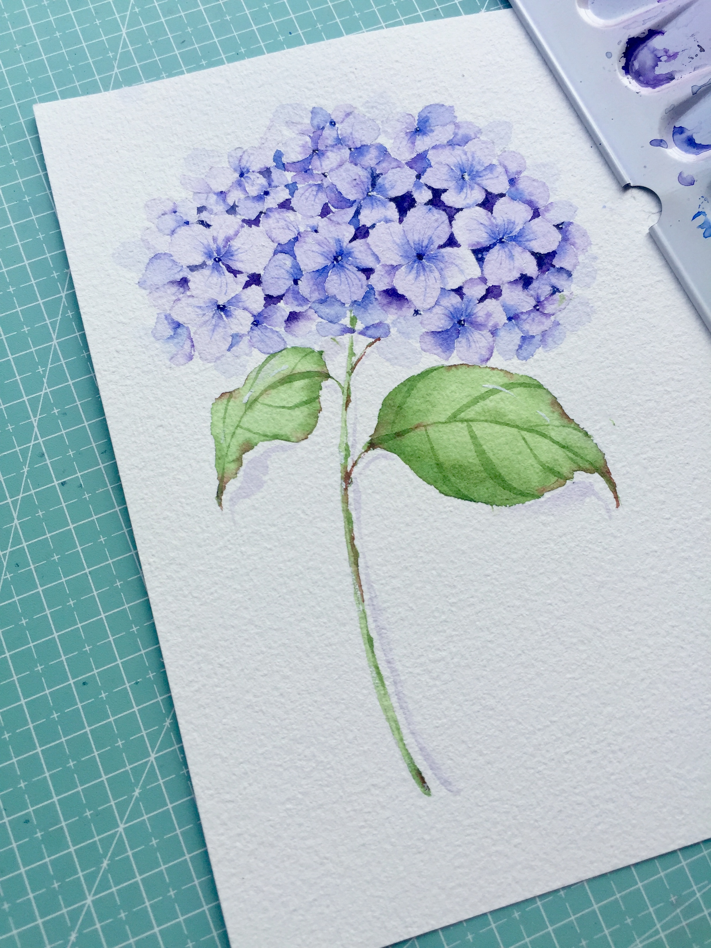 水彩花卉之绣球花-古田路9号-品牌创意/版权保护平台