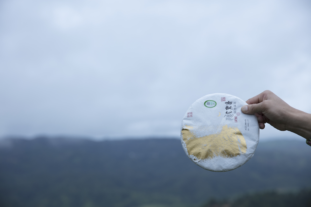 雨林古树茶紫电清霜玲珑茶猫布朗山1900产品包装策划