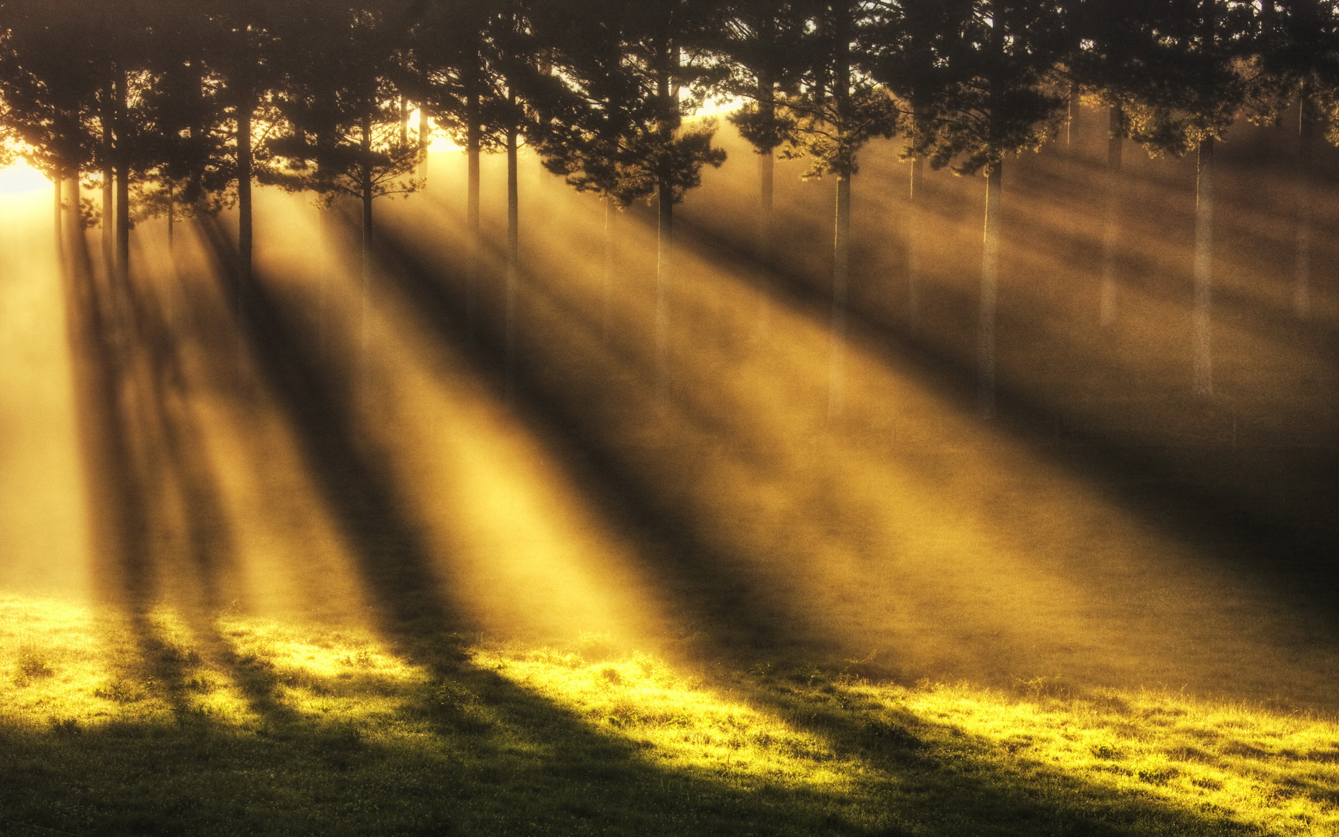 美图丨唯美光线高清大图