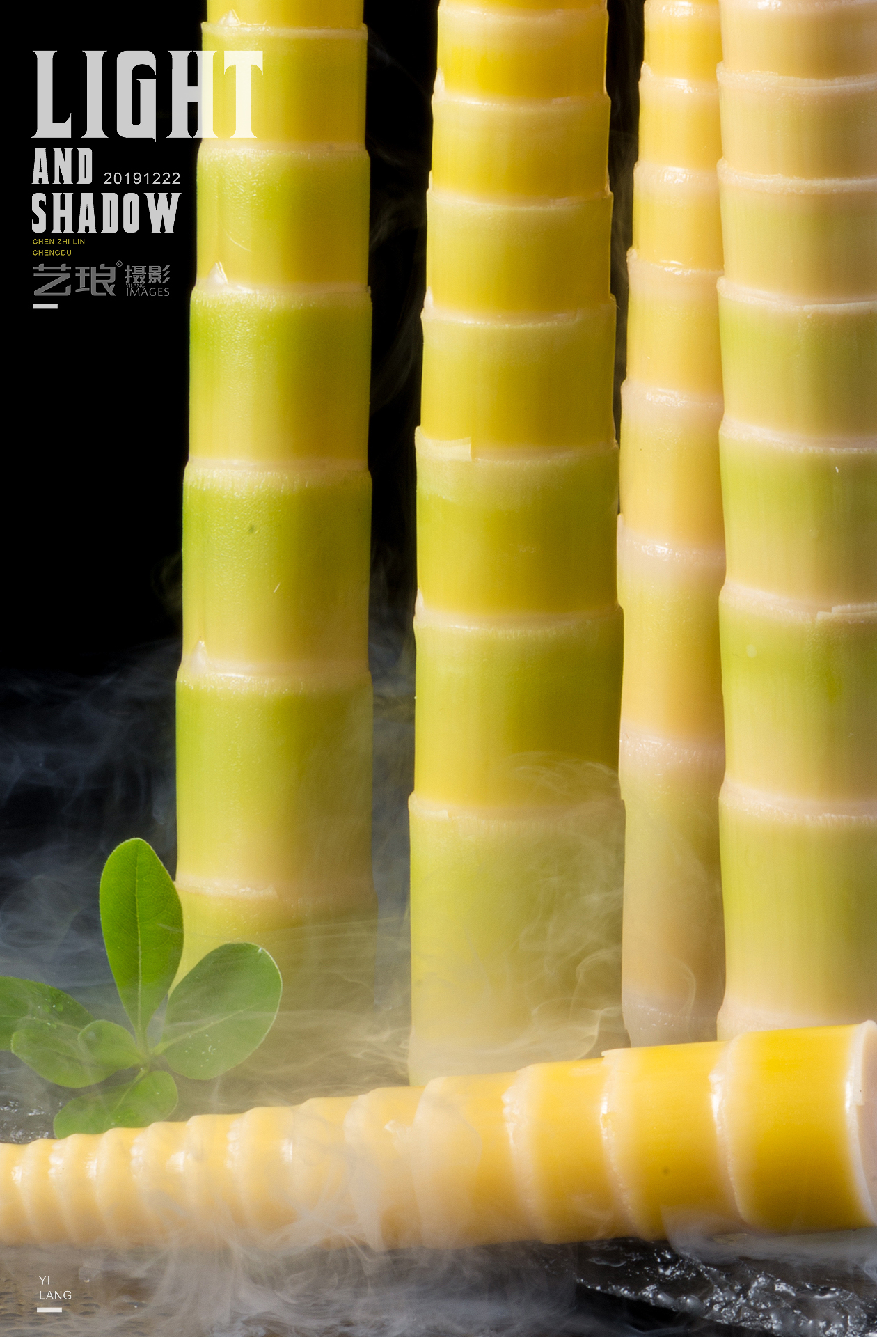 新鲜方竹笋拍摄