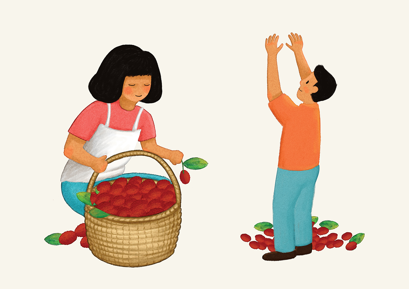 漠兰庄园红枣包装