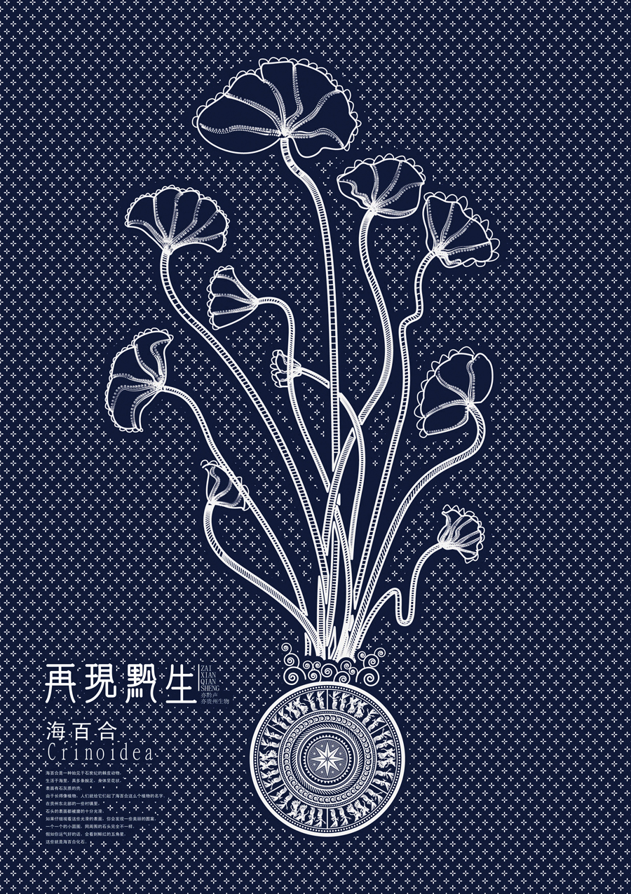 再现黔生贵州龙海百合