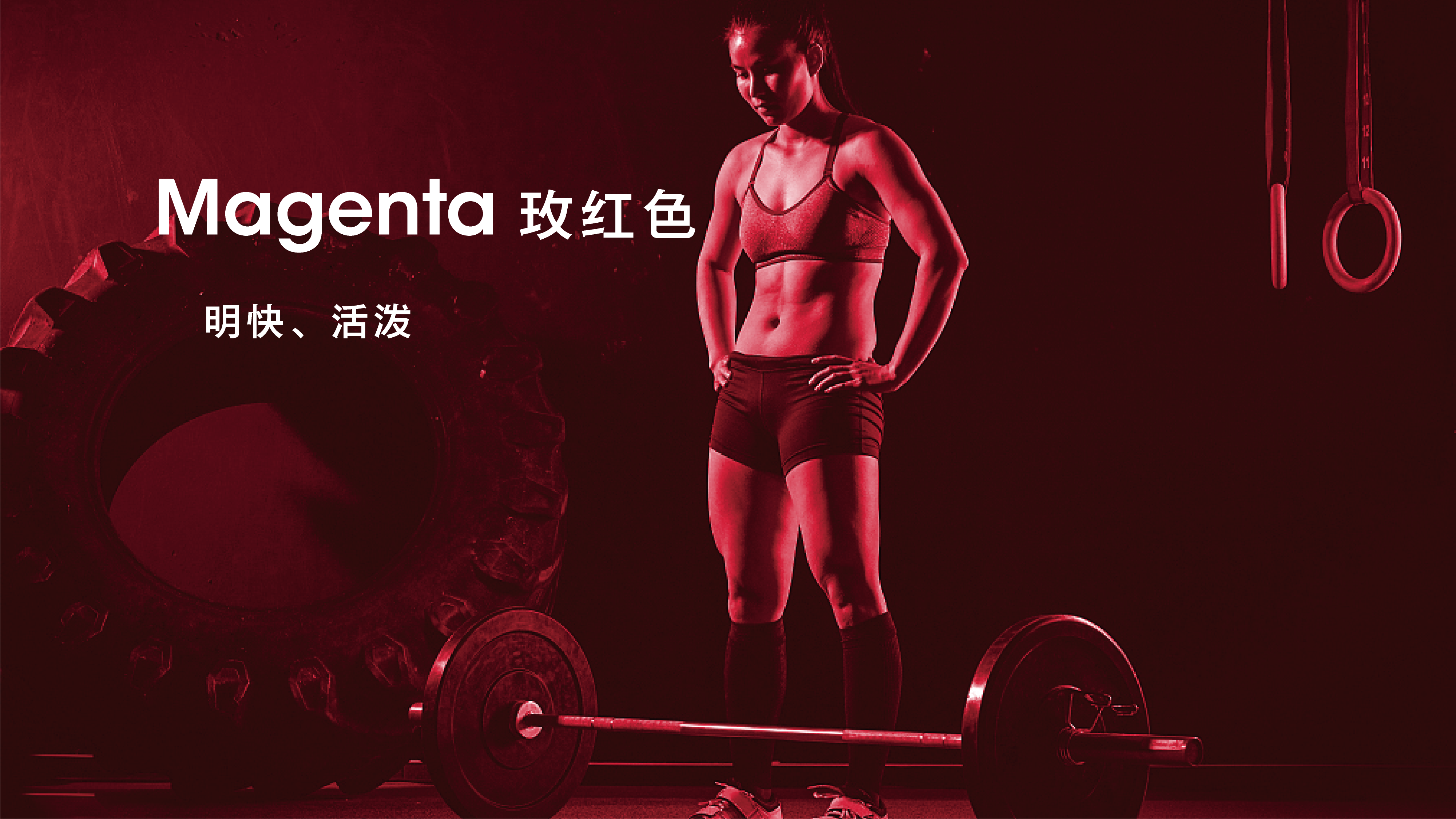 x因素健身俱乐部