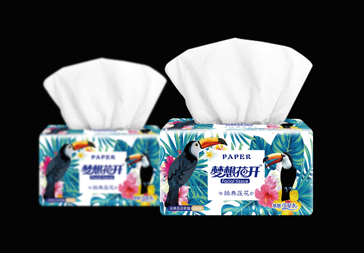 梦想花开龙竹纸巾包装