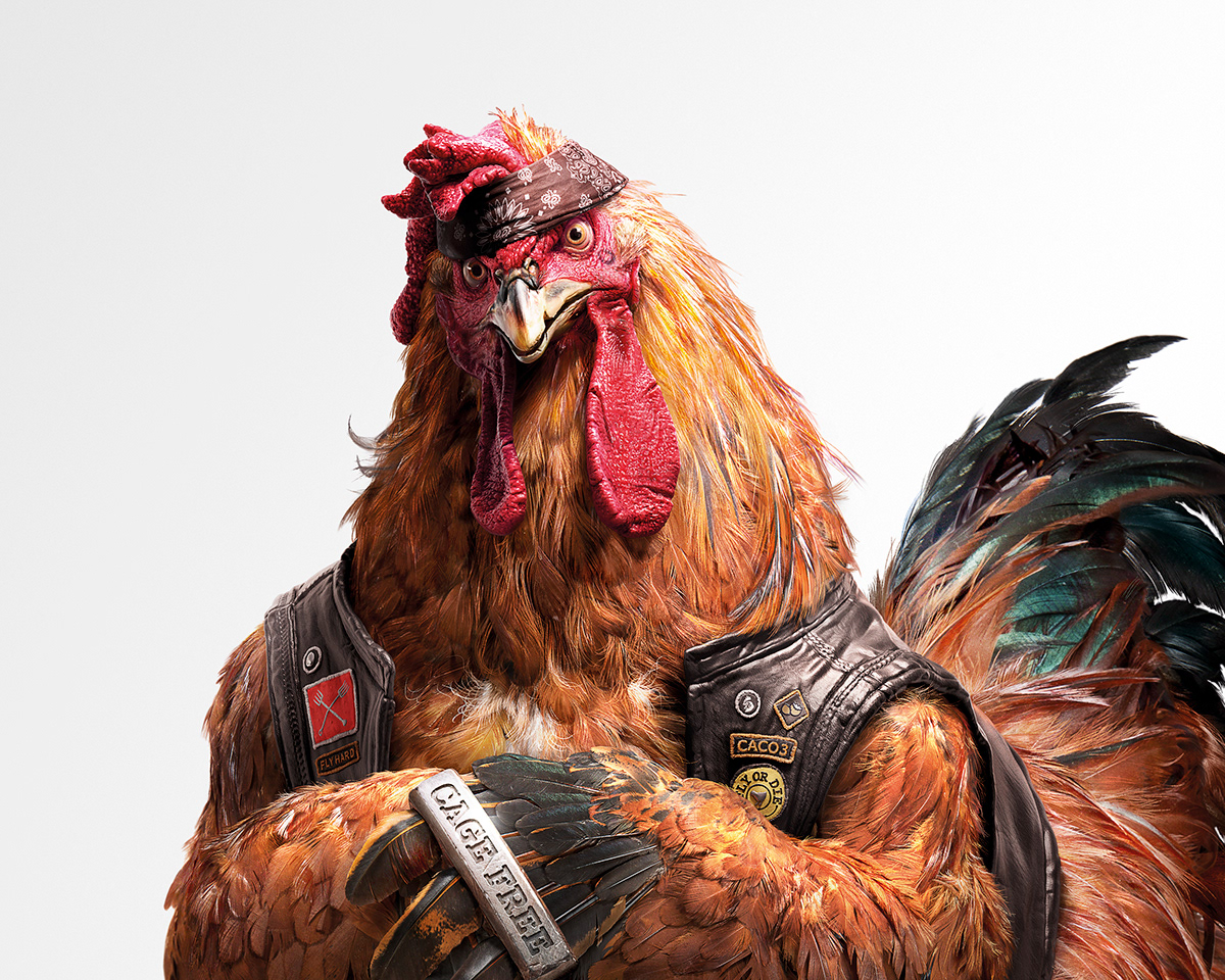 bishoppoutdooradvertising