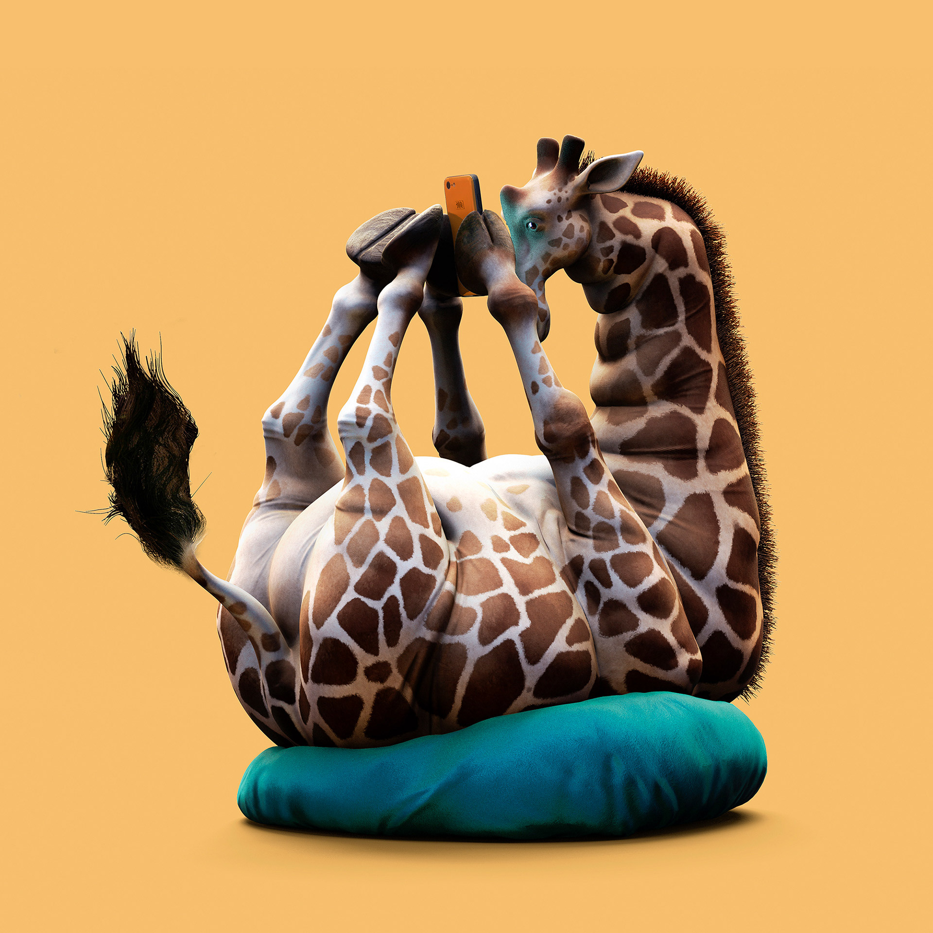 赵国栋的3d古怪系列