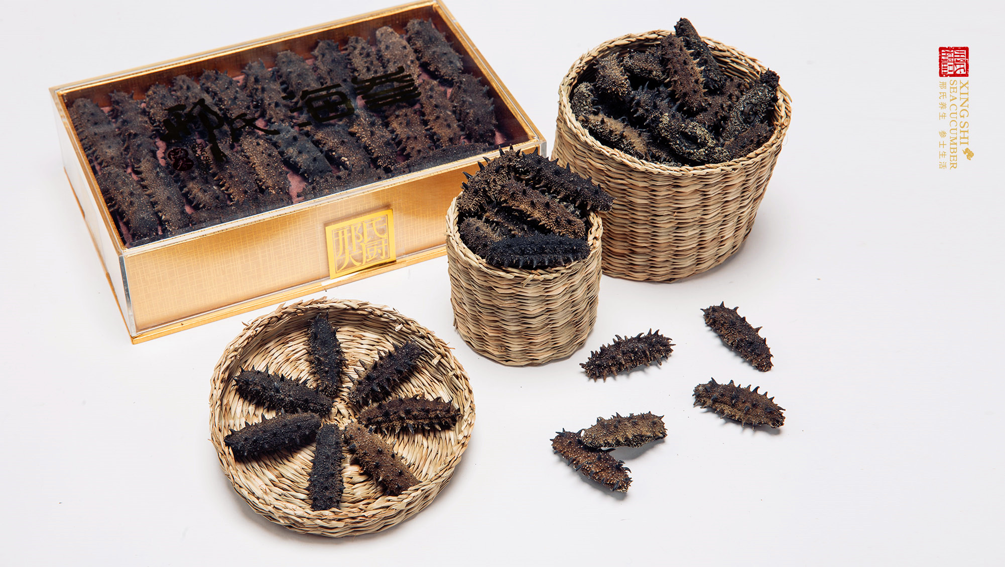 海参品牌之邢氏海参全案策划设计升级纪实