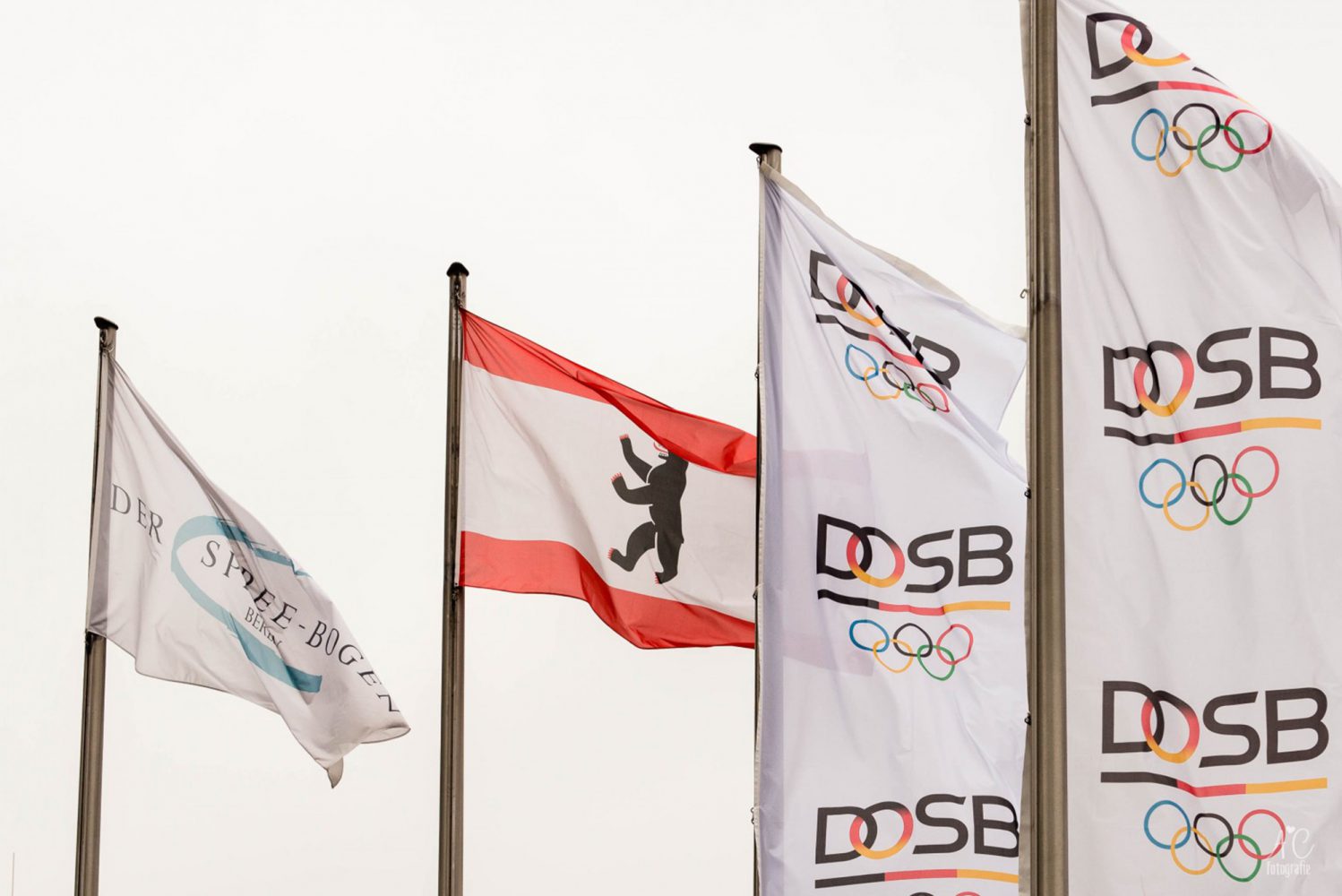 germanolympicsportsassociationdosb德国奥林匹克体育协会品牌设计