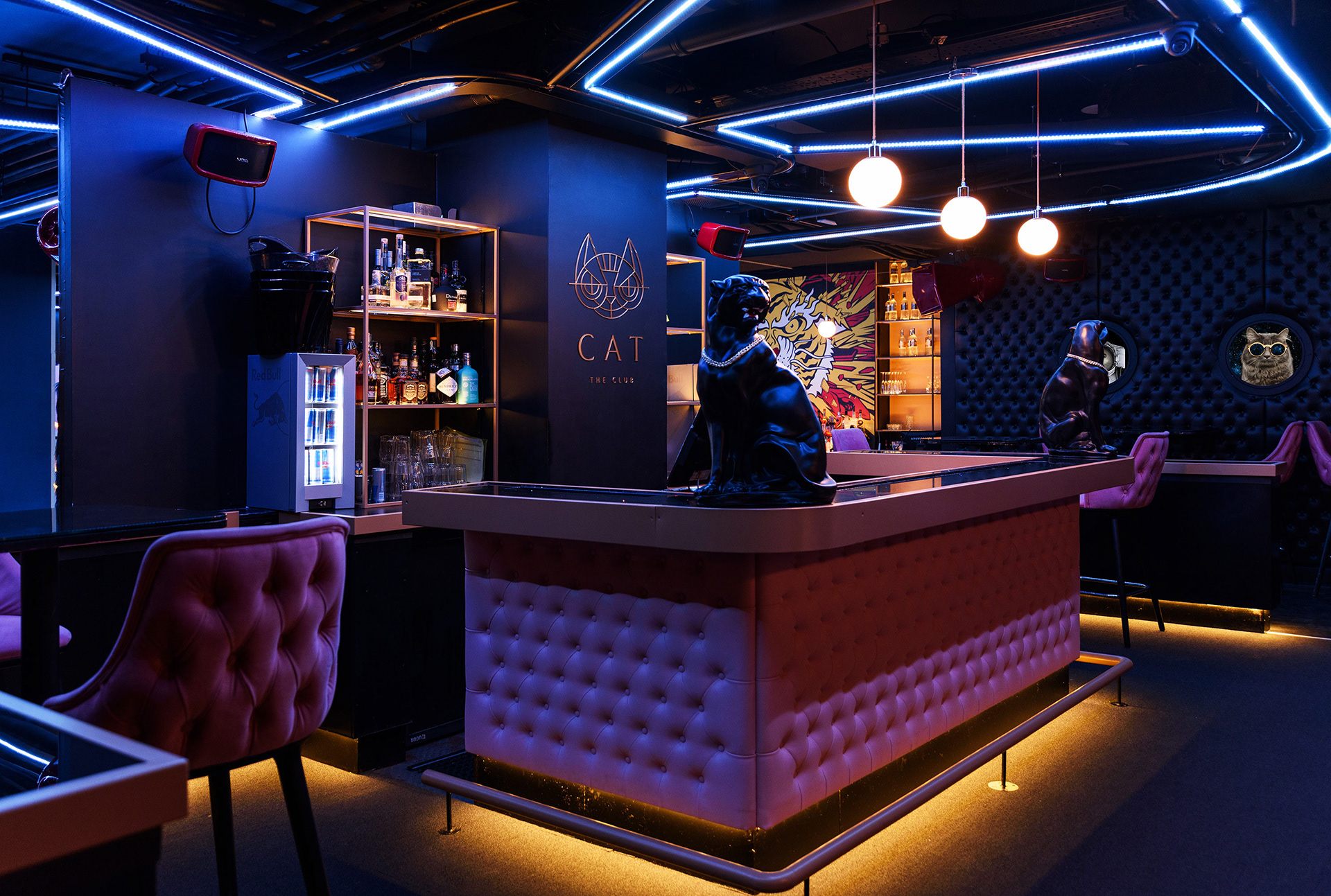 catbaranddanceclub猫主题酒吧和舞蹈俱乐部品牌设计