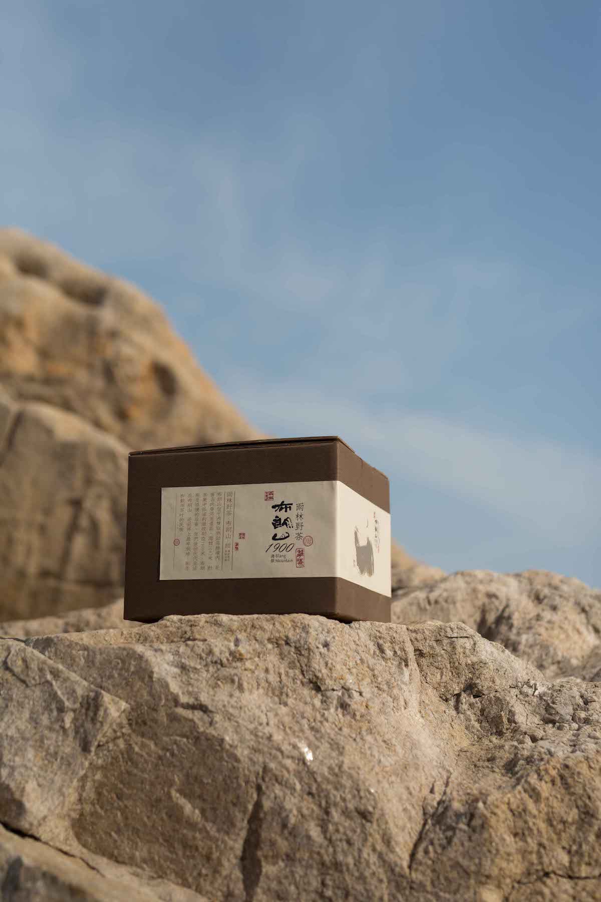 雨林古树茶紫电清霜玲珑茶猫布朗山1900产品包装策划