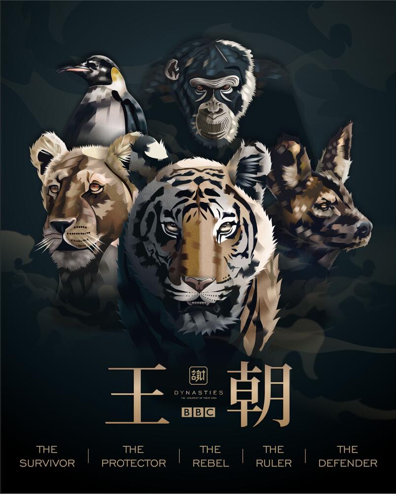 bbc王朝