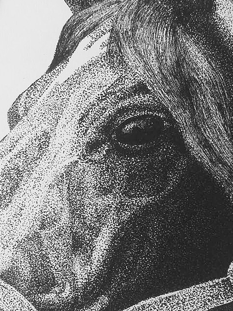 钢笔画针管笔点画