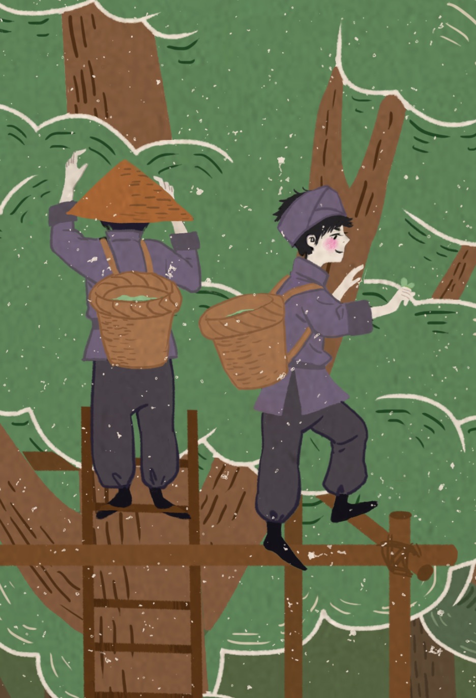 普洱茶文化插画采茶杀青品茶运茶