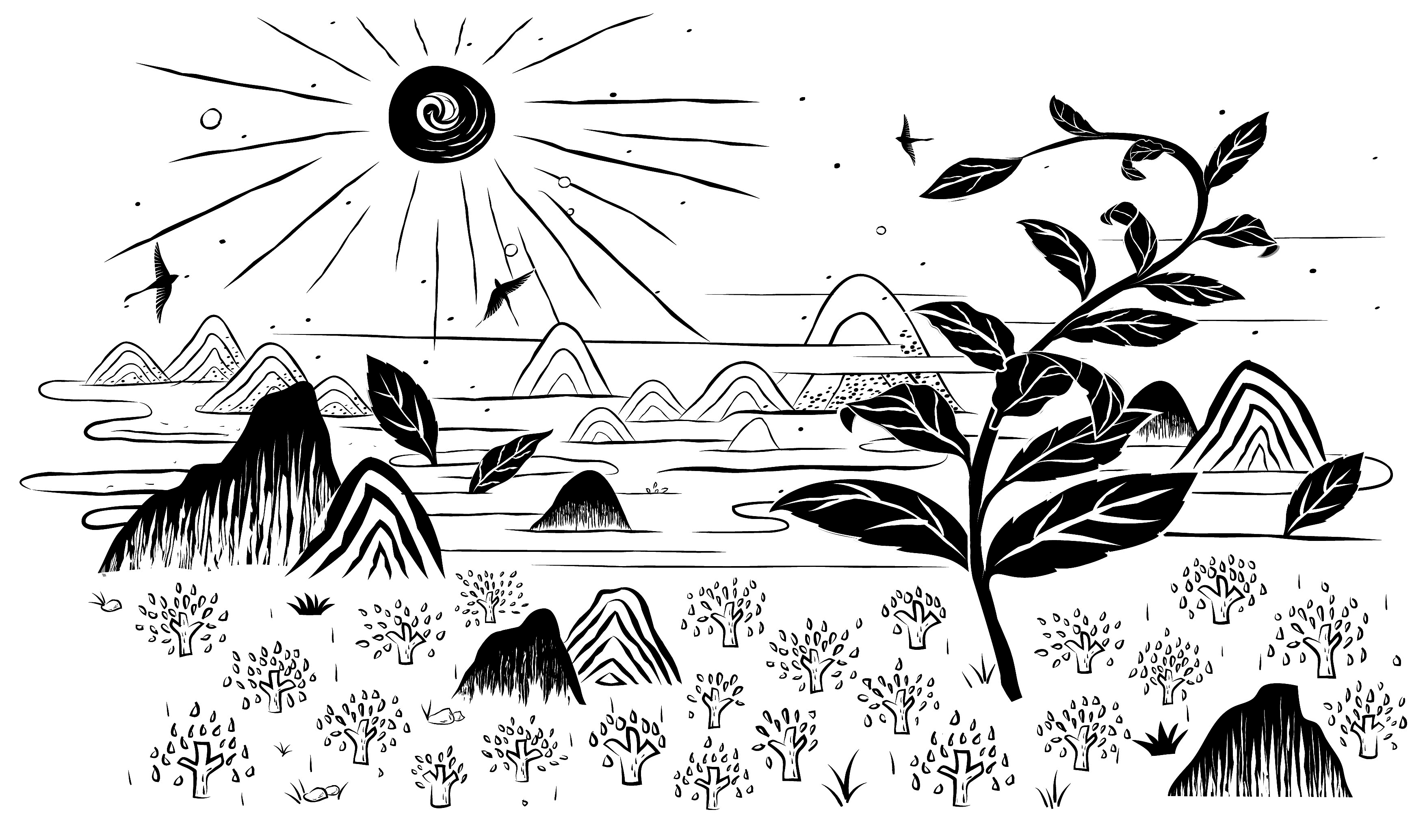 云南勐海大班章茶区,原始的茶树生长环境,犹如云雾中的深山老林.