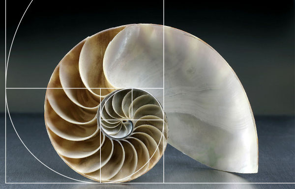 聊聊设计中的玄学黄金分割