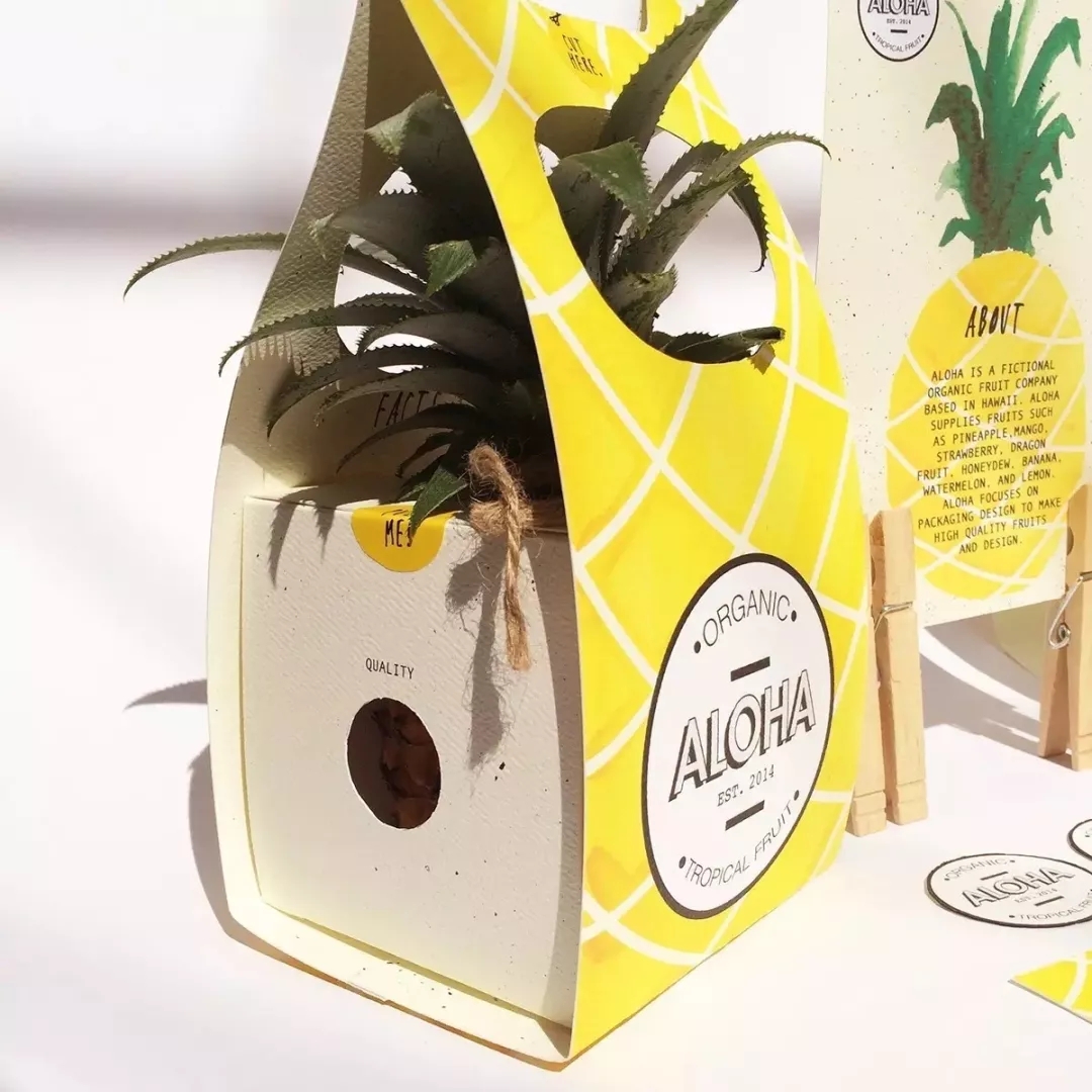 aloha菠萝包装