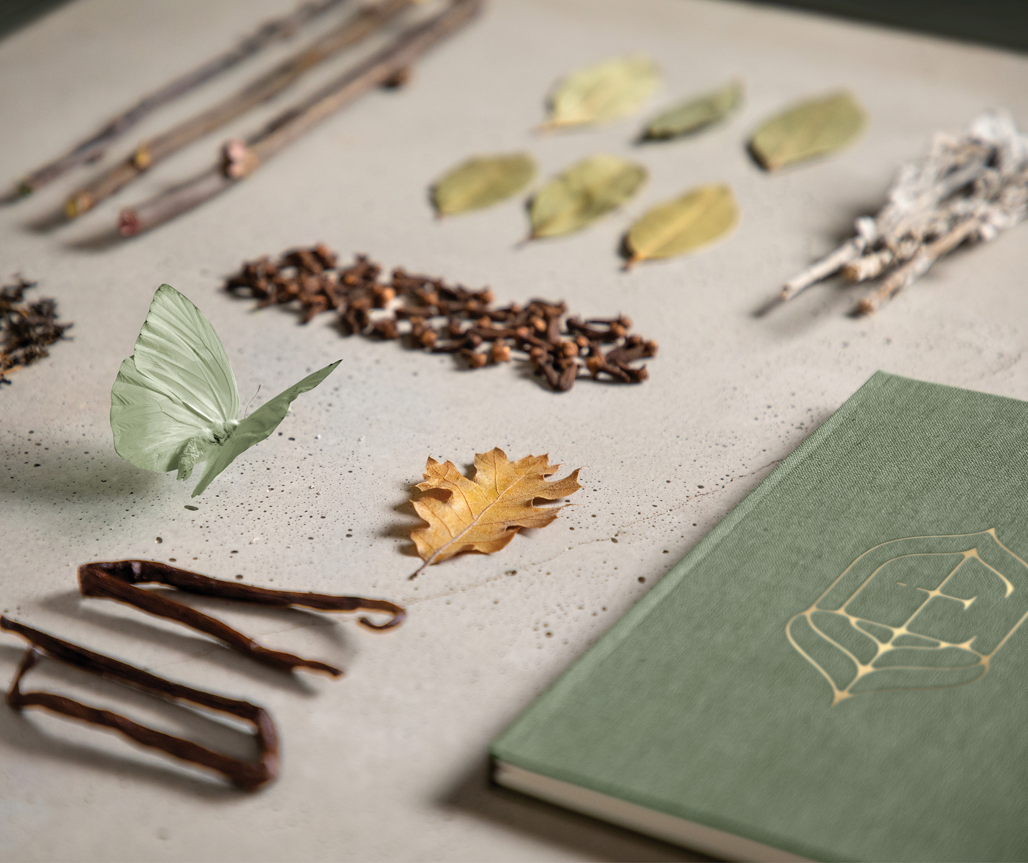 corn Aperitif 玉米开胃酒品牌设计