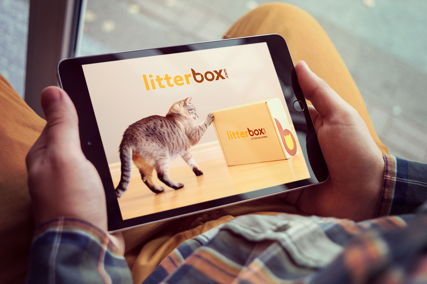 litterboxcomvis设计