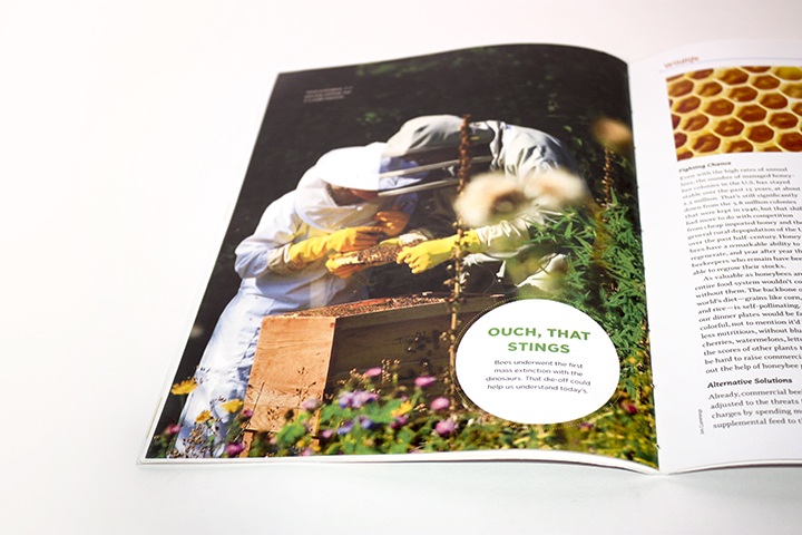 FtJgpL7e-VHRv3FargV3shWx2CrY