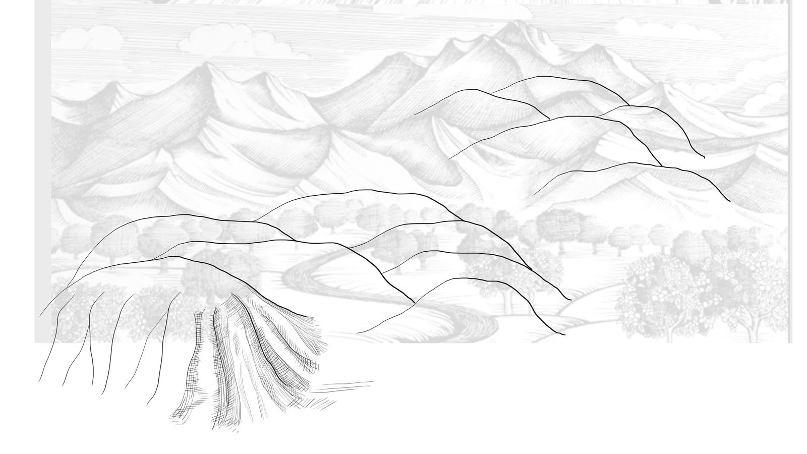 若川苹果品牌及包装设计