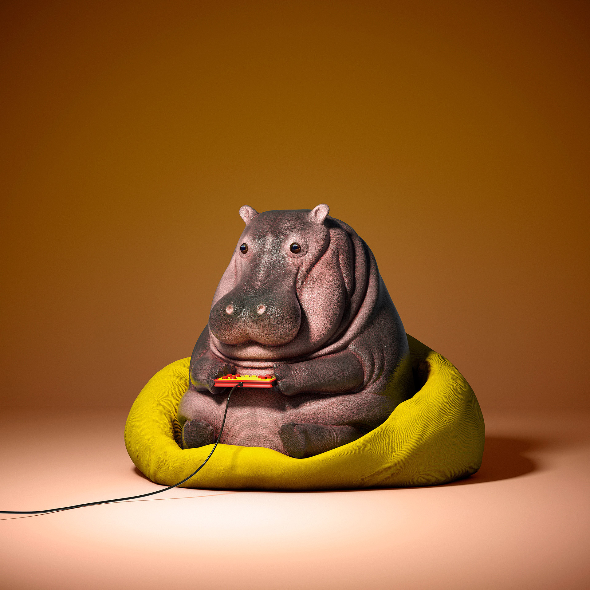 赵国栋的3d古怪系列