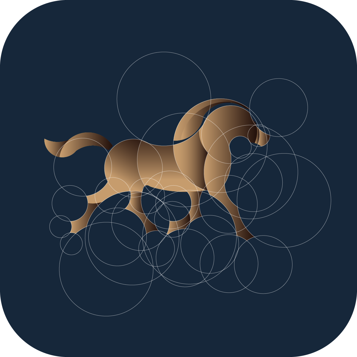 动物黄金比例图形