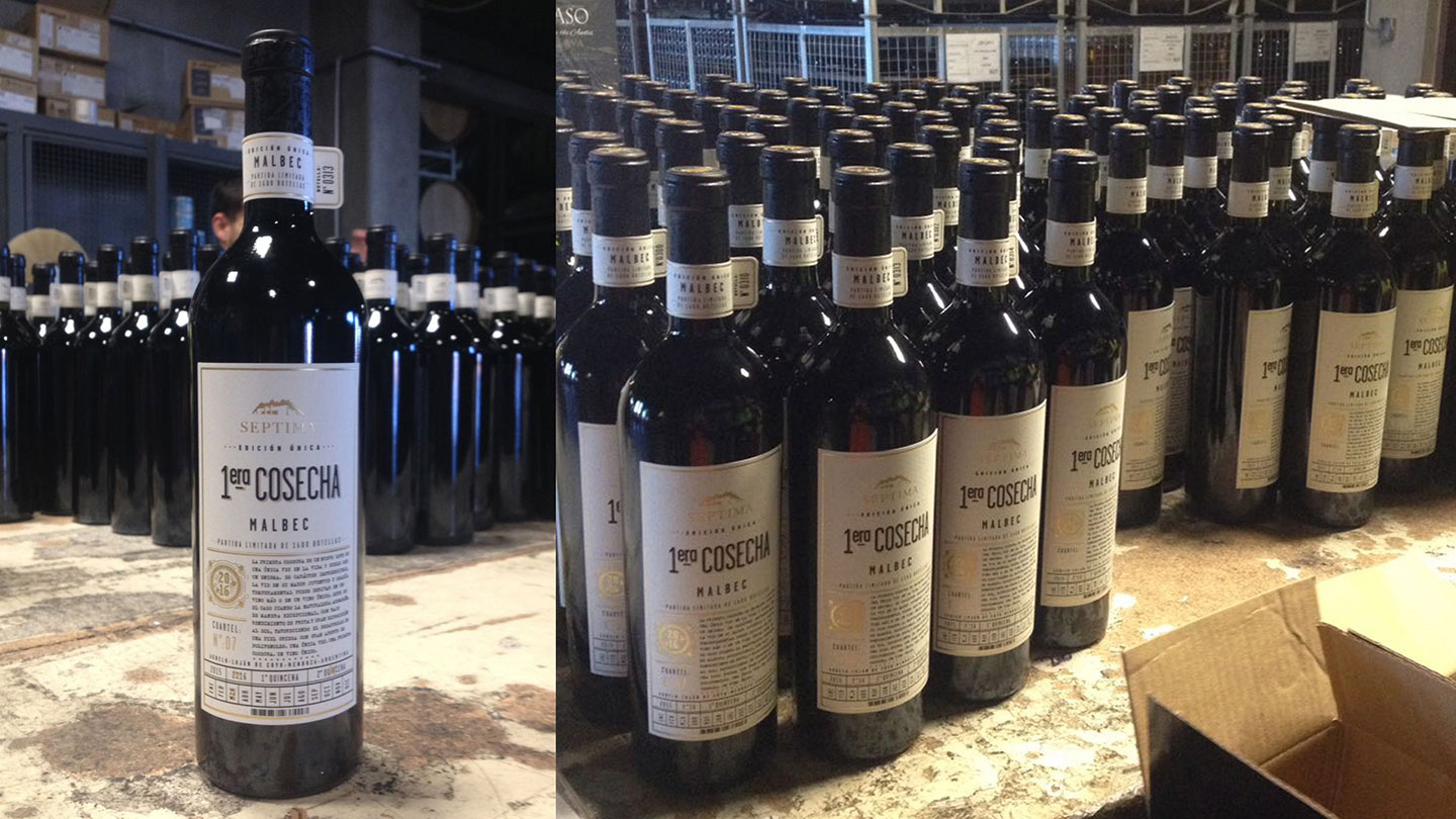 Septima 1era Cosecha 葡萄酒