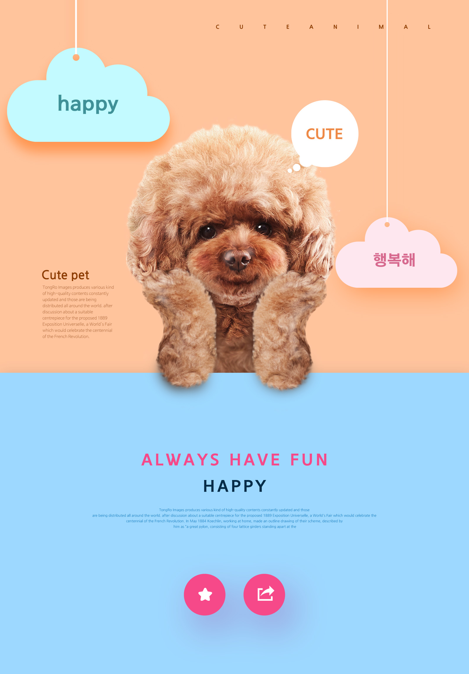 创意宠物海报设计