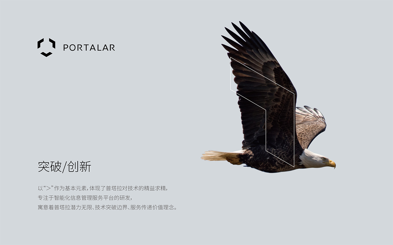 普塔拉科技公司标志商标设计提案byuci联合创智