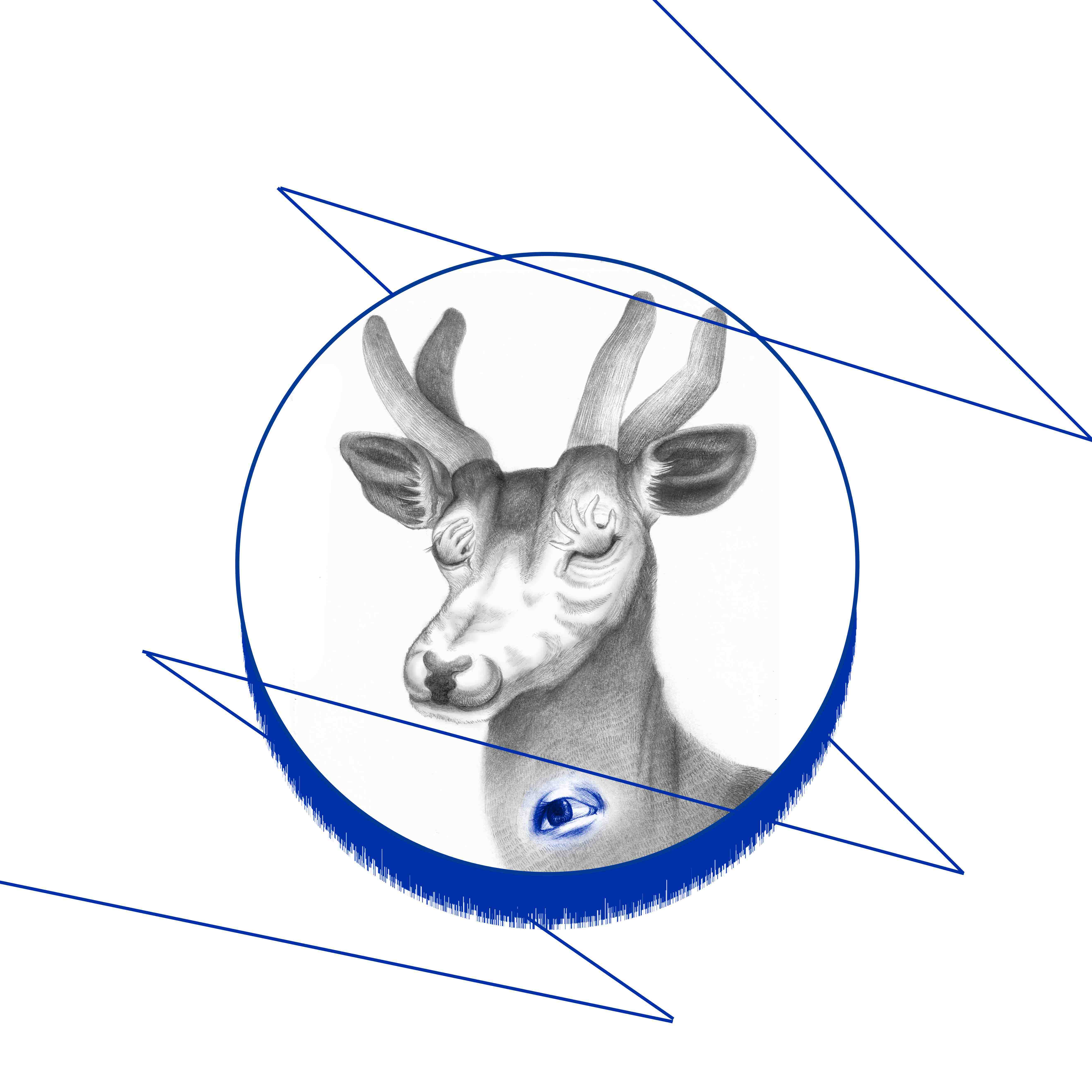 毕设:【物化 x 自我】系列插画设计