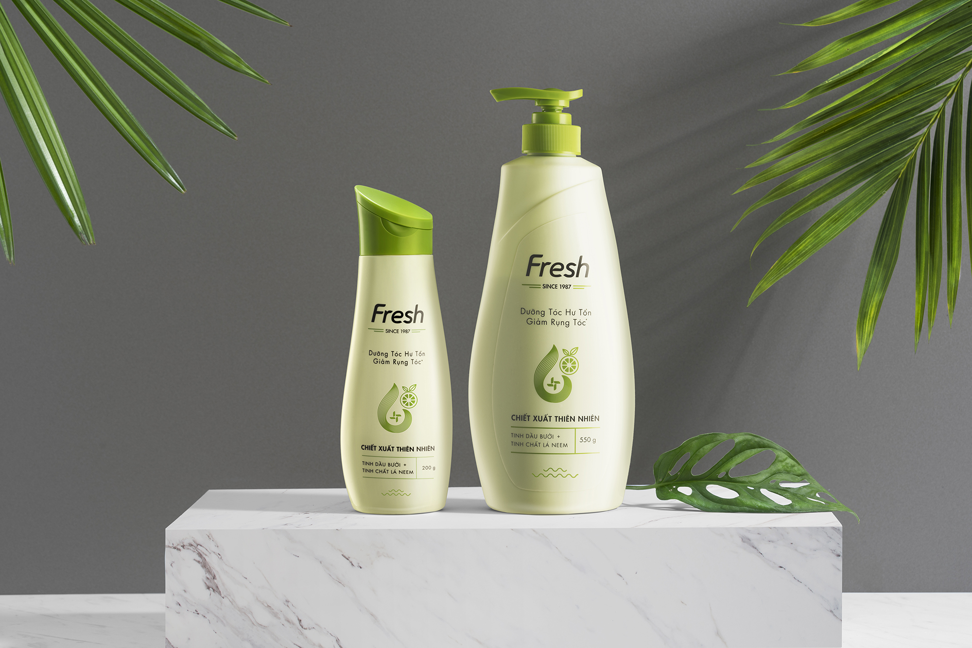 fresh dau goi dau 洗发水-古田路9号-品牌创意/版权保护平台