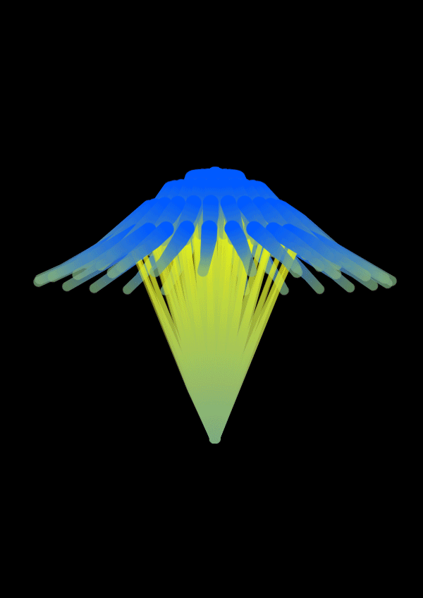 commonly known as comb jellies) is a phylum of animals that live