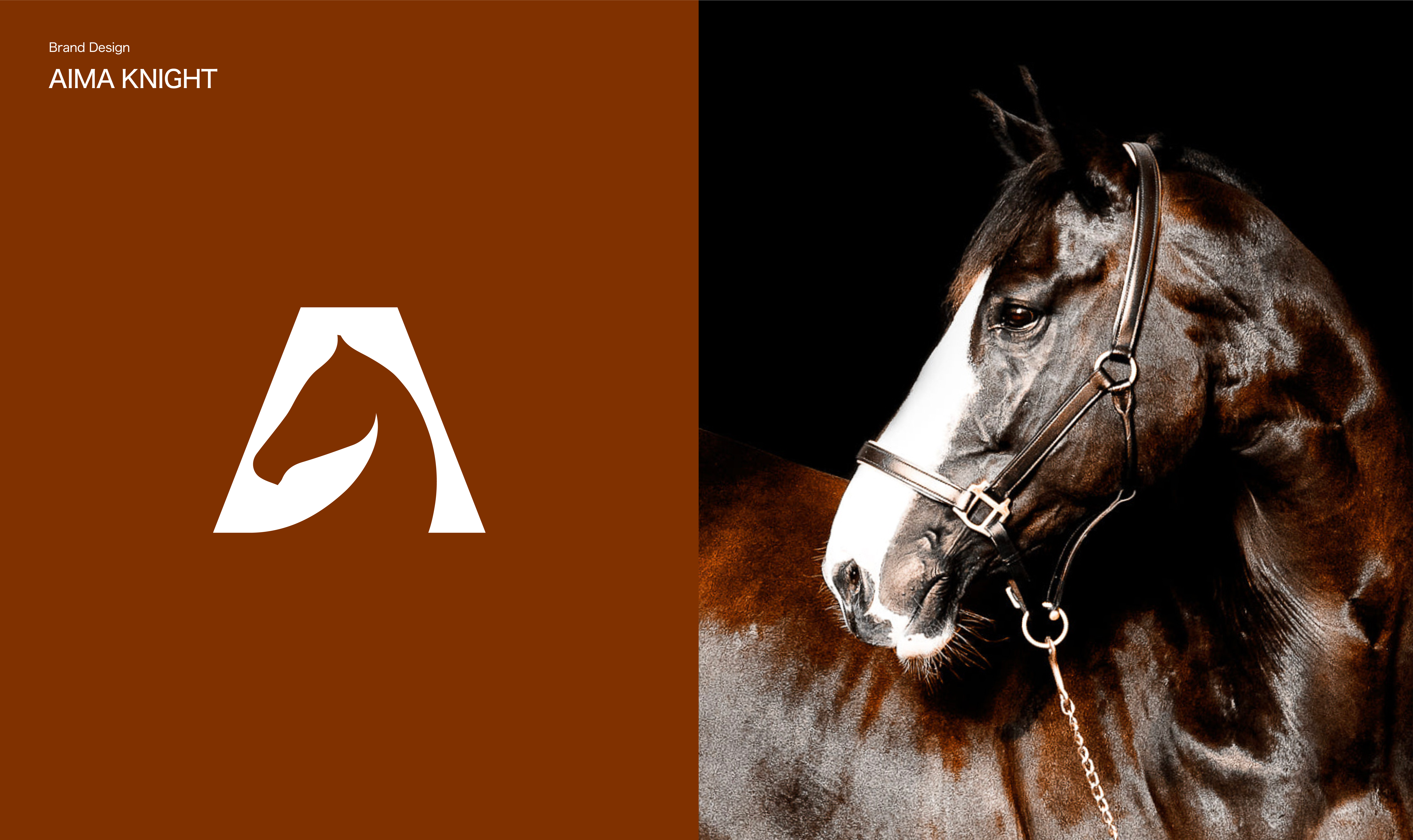 爱马骑仕国际马术馆品牌设计